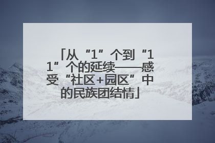 从“1”个到“11”个的延续——感受“社区+园区”中的民族团结情