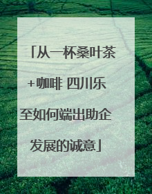 从一杯桑叶茶+咖啡 四川乐至如何端出助企发展的诚意