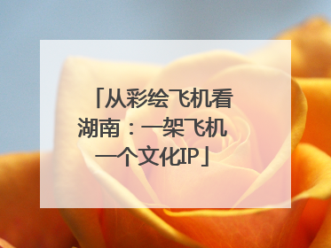 从彩绘飞机看湖南：一架飞机一个文化IP