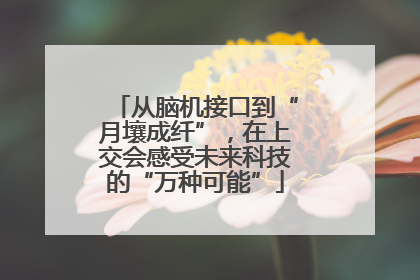 从脑机接口到“月壤成纤”，在上交会感受未来科技的“万种可能”