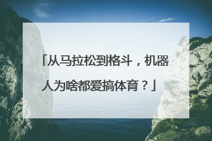 从马拉松到格斗，机器人为啥都爱搞体育？