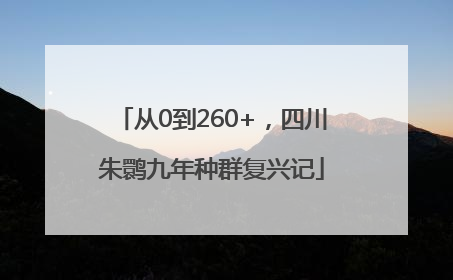 从0到260+，四川朱鹮九年种群复兴记