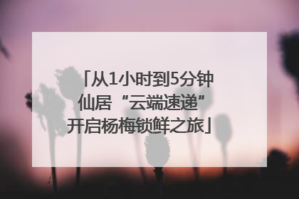 从1小时到5分钟 仙居“云端速递”开启杨梅锁鲜之旅