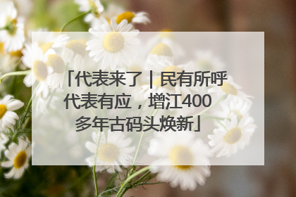 代表来了｜民有所呼代表有应，增江400多年古码头焕新