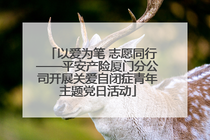 以爱为笔 志愿同行——平安产险厦门分公司开展关爱自闭症青年主题党日活动