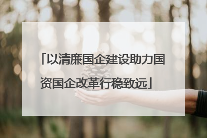 以清廉国企建设助力国资国企改革行稳致远