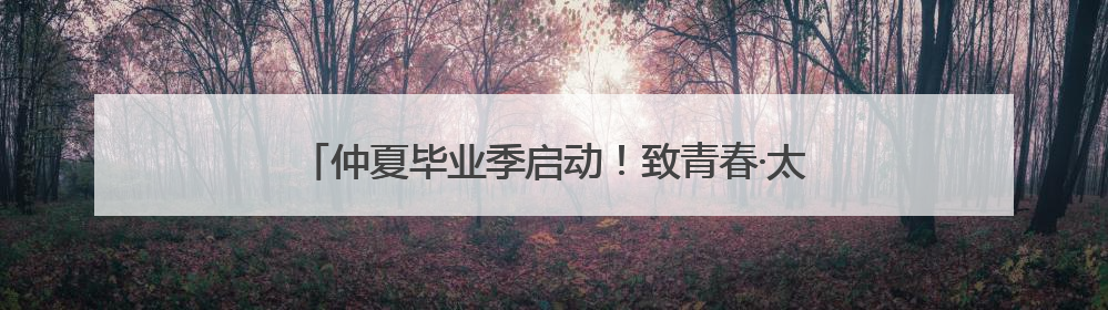 仲夏毕业季启动！致青春·太白湖音乐会音浪合伙人招募令