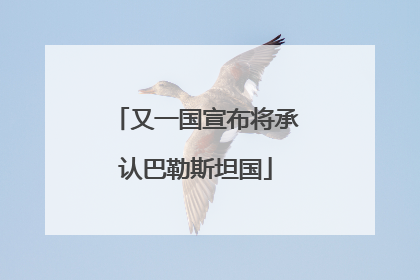 又一国宣布将承认巴勒斯坦国