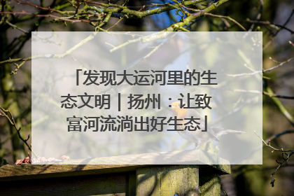 发现大运河里的生态文明｜扬州：让致富河流淌出好生态