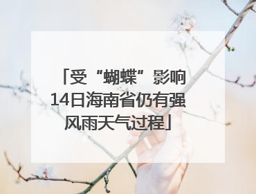 受“蝴蝶”影响 14日海南省仍有强风雨天气过程