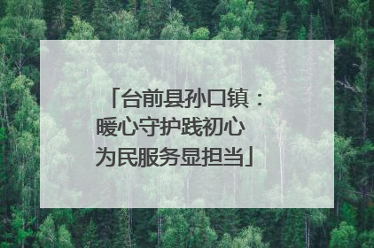 台前县孙口镇：暖心守护践初心 为民服务显担当