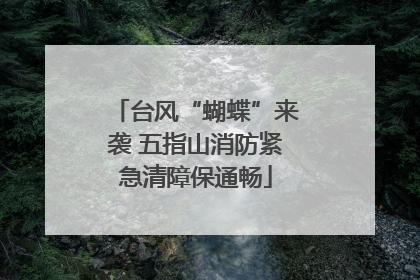 台风“蝴蝶”来袭 五指山消防紧急清障保通畅