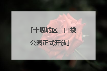十堰城区一口袋公园正式开放