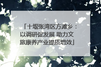 十堰张湾区方滩乡：以调研促发展 助力文旅康养产业提质增效