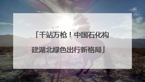 千站万枪！中国石化构建湖北绿色出行新格局