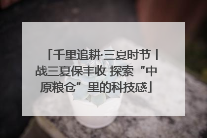 千里追耕·三夏时节丨战三夏保丰收 探索“中原粮仓”里的科技感