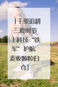 千里追耕·三夏时节丨科技“铁军”护航 麦收颗粒归仓