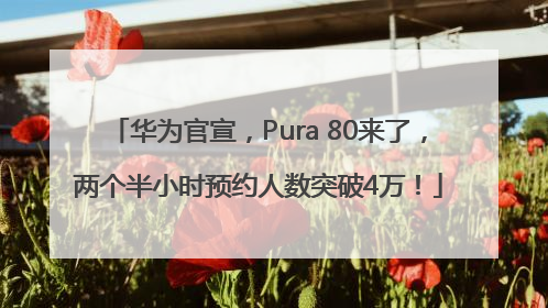 华为官宣，Pura 80来了，两个半小时预约人数突破4万！
