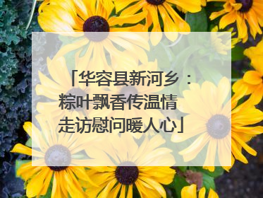 华容县新河乡：粽叶飘香传温情 走访慰问暖人心