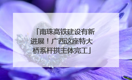 南珠高铁建设有新进展！广西这座特大桥系杆拱主体完工