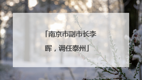 南京市副市长李晖，调任泰州