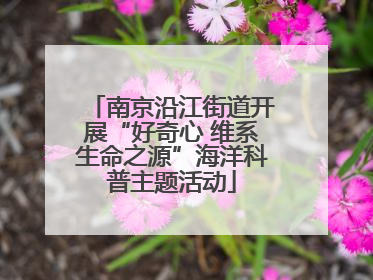 南京沿江街道开展“好奇心 维系生命之源”海洋科普主题活动
