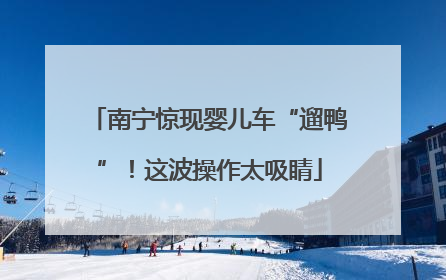 南宁惊现婴儿车“遛鸭”！这波操作太吸睛