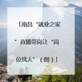 南昌“就业之家”直播带岗让“岗位找人”（图）