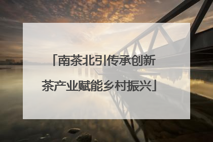 南茶北引传承创新 茶产业赋能乡村振兴