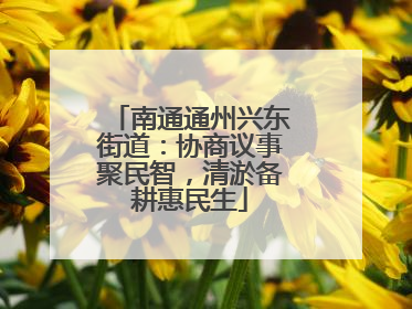 南通通州兴东街道：协商议事聚民智，清淤备耕惠民生