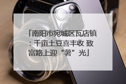 南阳市宛城区瓦店镇：千亩土豆喜丰收 致富路上迎“薯”光
