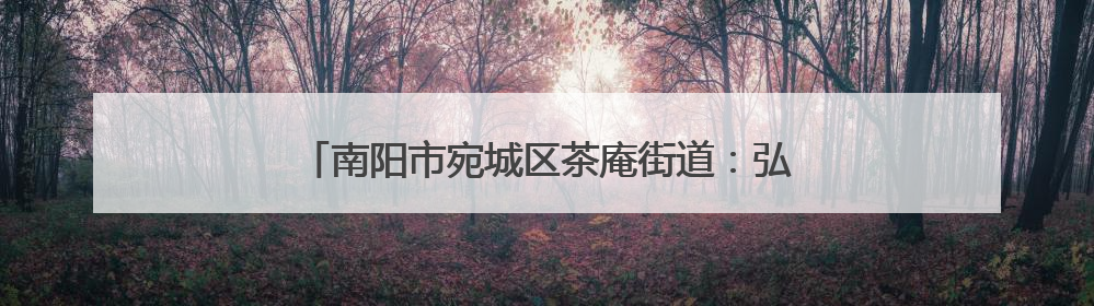 南阳市宛城区茶庵街道：弘扬中医文化 把脉基层健康