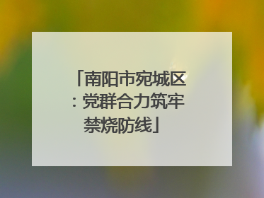 南阳市宛城区：党群合力筑牢禁烧防线