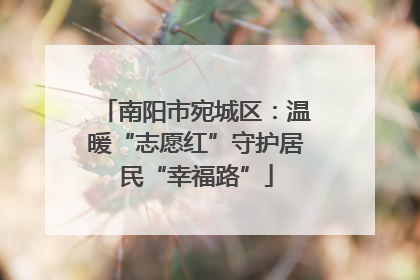 南阳市宛城区：温暖“志愿红”守护居民“幸福路”