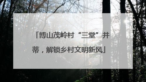 博山茂岭村“三堂”并蒂，解锁乡村文明新风