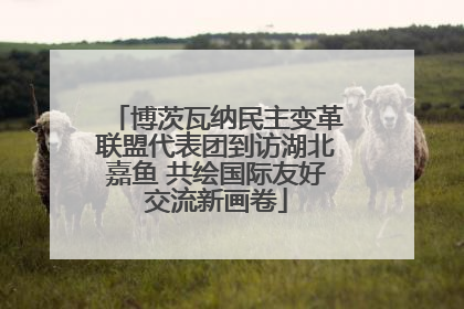 博茨瓦纳民主变革联盟代表团到访湖北嘉鱼 共绘国际友好交流新画卷
