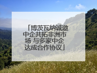 博茨瓦纳诚邀中企共拓非洲市场 与多家中企达成合作协议