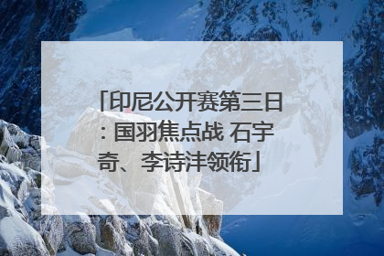 印尼公开赛第三日：国羽焦点战 石宇奇、李诗沣领衔