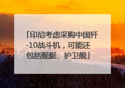 印尼考虑采购中国歼-10战斗机，可能还包括舰艇、护卫舰