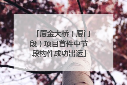 厦金大桥（厦门段）项目首件中节段构件成功出运
