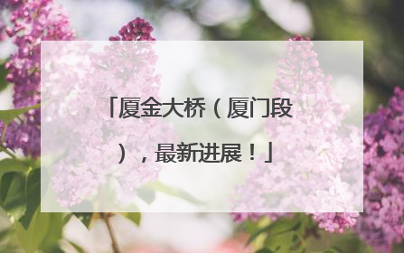 厦金大桥（厦门段），最新进展！