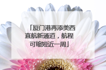 厦门港再添美西直航新通道，航程可缩短近一周