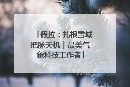 假拉：扎根雪域把脉天机｜最美气象科技工作者