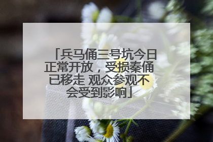 兵马俑三号坑今日正常开放，受损秦俑已移走 观众参观不会受到影响