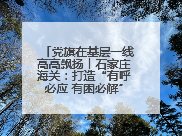 党旗在基层一线高高飘扬丨石家庄海关：打造“有呼必应 有困必解”关企互动新生态