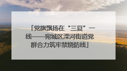 党旗飘扬在“三夏”一线——宛城区溧河街道党群合力筑牢禁烧防线