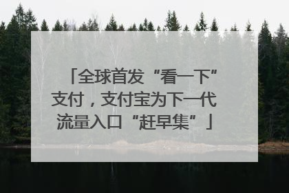全球首发“看一下”支付，支付宝为下一代流量入口“赶早集”