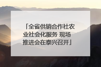 全省供销合作社农业社会化服务 现场推进会在泰兴召开