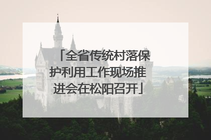 全省传统村落保护利用工作现场推进会在松阳召开
