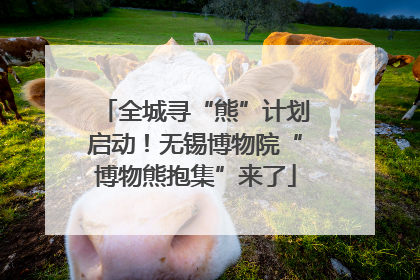 全城寻“熊”计划启动！无锡博物院“博物熊抱集”来了